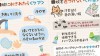 赤ちゃんが蚊に刺されたら…虫刺されケア&虫除け 赤ちゃんが蚊に刺されたら…虫刺されケア&虫除け