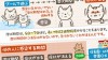 プール熱の潜伏期間は何日間?潜伏期間の感染力と過ごし方 プール熱の潜伏期間は何日間?潜伏期間の感染力と過ごし方