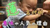 蓮のつく名前をつけたい!知っておきたい意味とまつわる話 蓮のつく名前をつけたい!知っておきたい意味とまつわる話
