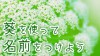 葵がつく名前をつけたい!字の意味&男の子と女の子の名前 葵がつく名前をつけたい!字の意味&男の子と女の子の名前