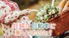 妊婦は自転車にいつまで乗れる?初期・中期・後期の危険性 妊婦は自転車にいつまで乗れる?初期・中期・後期の危険性