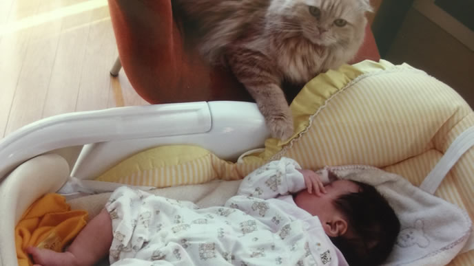 猫と仲良しの生後２ヶ月の赤ちゃん