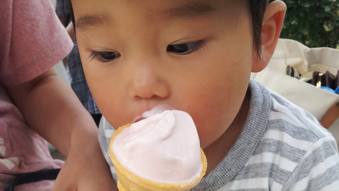 大好きなソフトクリームを食べる男の子