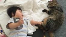 猫と赤ちゃんが仲良く暮らすために家族が知っておくべきこと