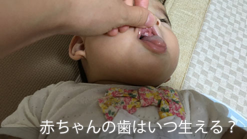 赤ちゃんの歯Q＆A｜歯ぎしり＆歯並びの悪さは実は良い？