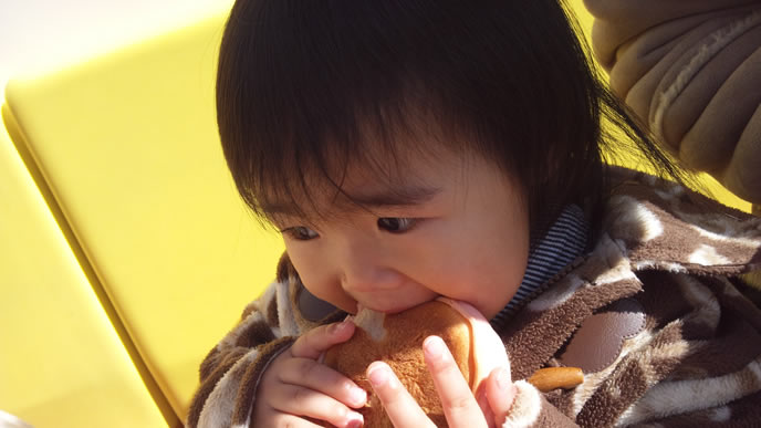 初めてのメロンパンを食べる赤ちゃん