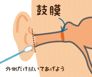 赤ちゃんの耳掃除をする時の綿棒と鼓膜の位置