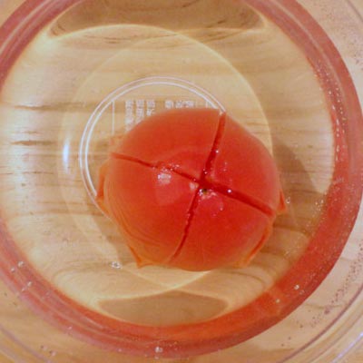 熱湯の入ったボウルの中にある十字の切り込みが入ったトマト＠