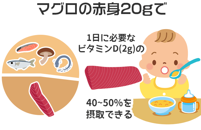 マグロの赤身20gで1日に必要なビタミンD(2g)の40~50%を摂取できる