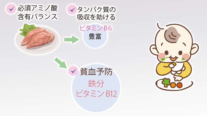 牛肉に含まれる栄養素