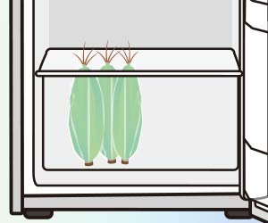 とうもろこしを野菜室に縦に置く
