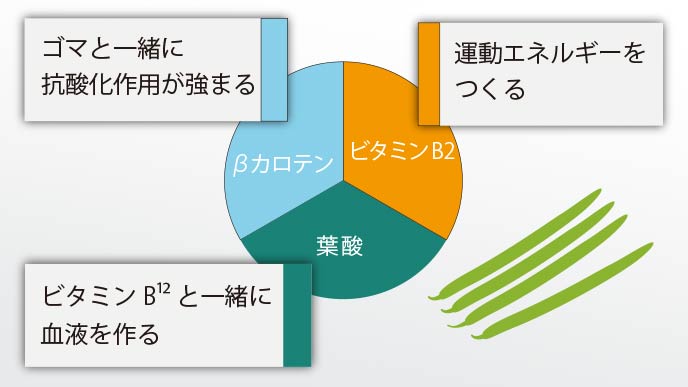 さやいんげんの栄養素