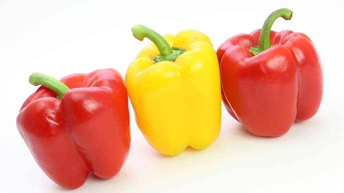 カラーピーマン