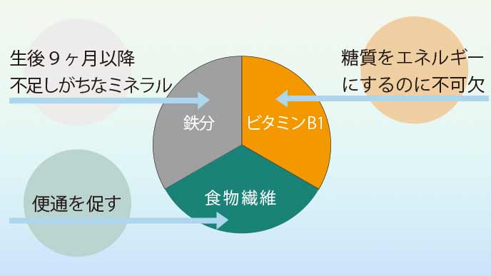 オートミールに含まれる赤ちゃんに嬉しい栄養素