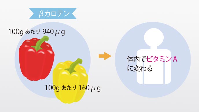 βカロテンの含有量