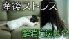 産後ストレスは早めに解消を!心身に及ぼす悪影響とは? 産後ストレスは早めに解消を!心身に及ぼす悪影響とは?