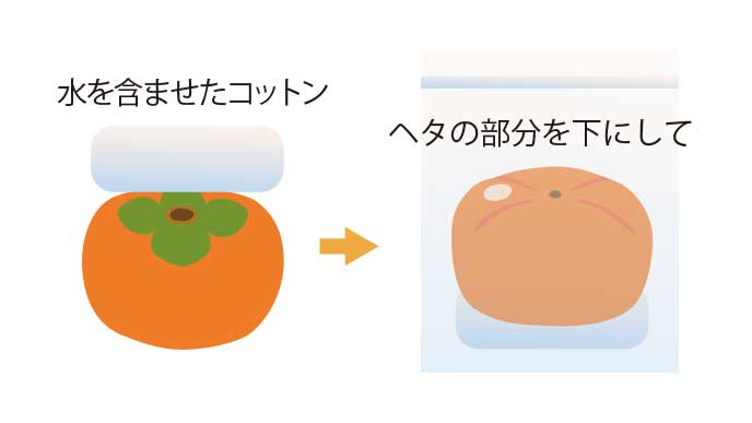 生柿の保存方法